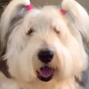 Meet your Posher, Douglas